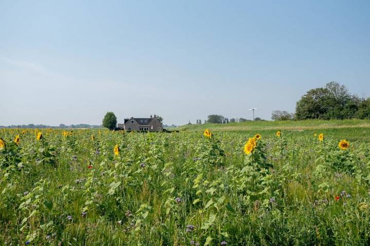 Maison de vacances pour 6 personnes, avec jardin ainsi que vue et terrasse
