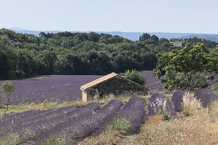Agriturismo para 2 personas, con jardín - 1