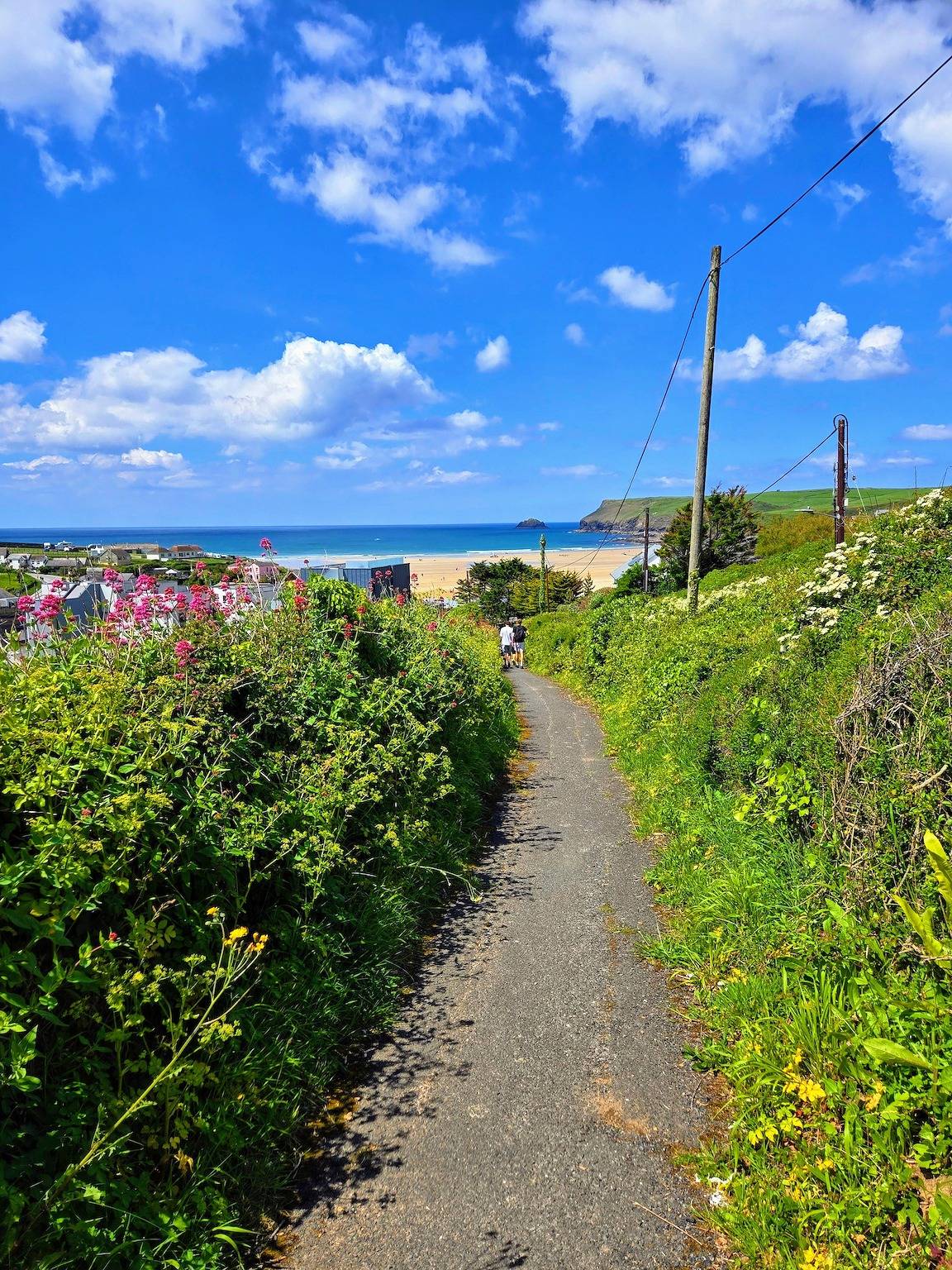 Trevarthian in Polzeath, Pentire Point - Widemouth