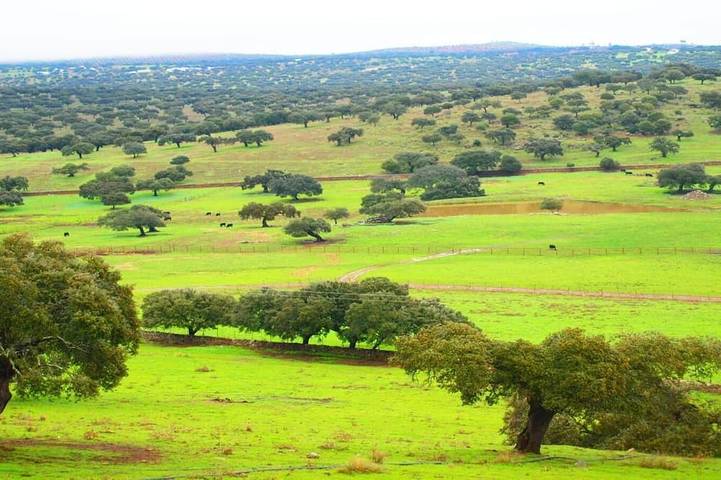 Casa rural para 6 personas, con balcón y piscina en Casas del Monte