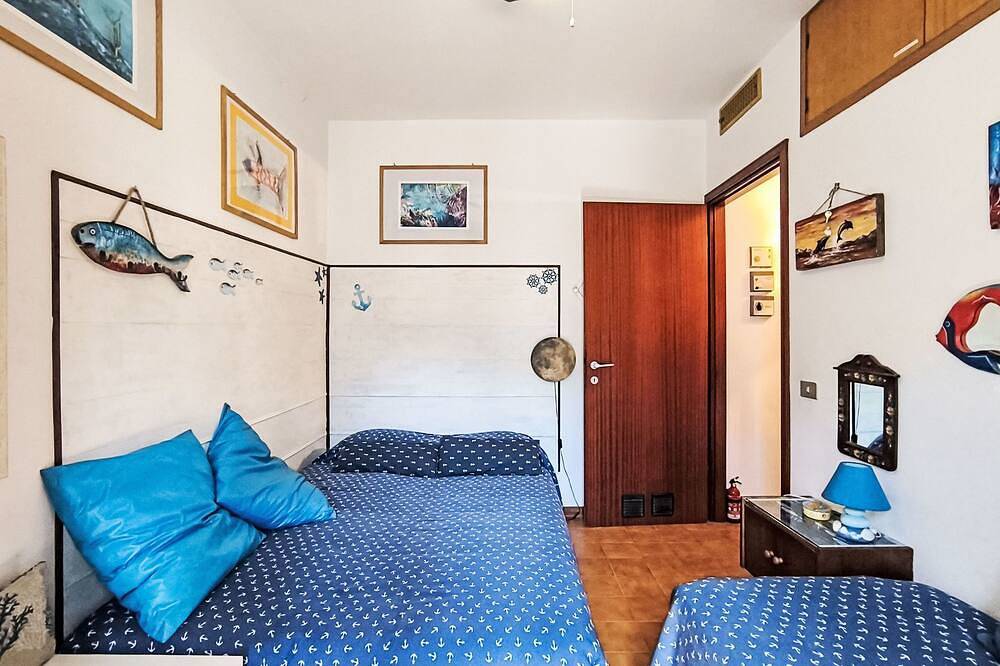 Barracuda in Principina A Mare, Grosseto