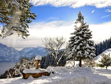 Bauernhof für 5 Personen in Unterach am Attersee, Attersee, Bild 4