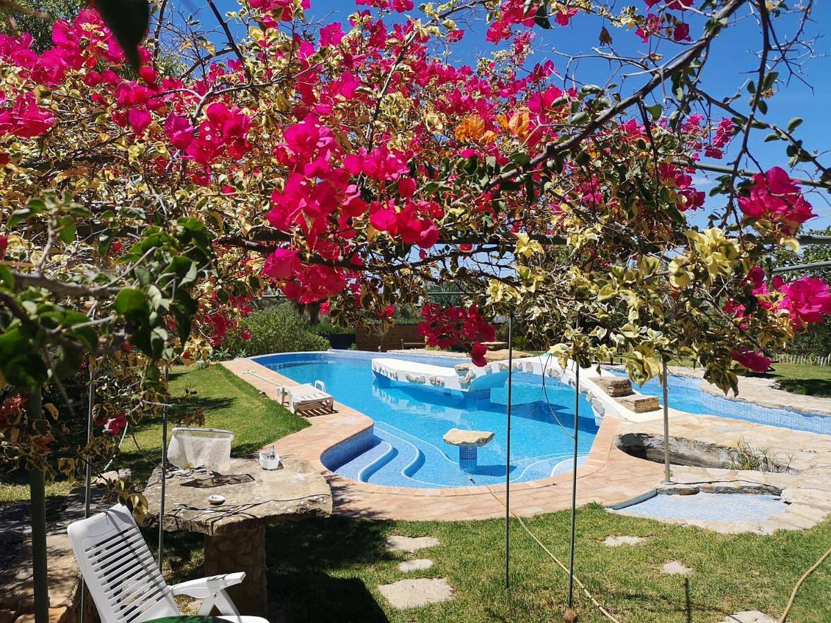 Deluxe Double Room (2 Adults + 1 Child) in Estoi, Faro