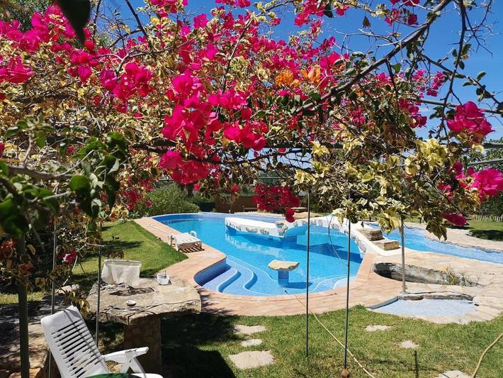 Gîte pour 4 personnes, avec piscine et jardin, animaux acceptés dans Estoi - 3