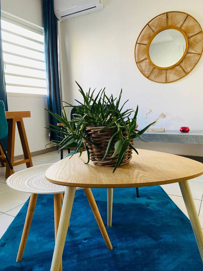Appartement entier, Charmant appartement de 1 chambre à Fort-de-France 35 m² in Martinique
