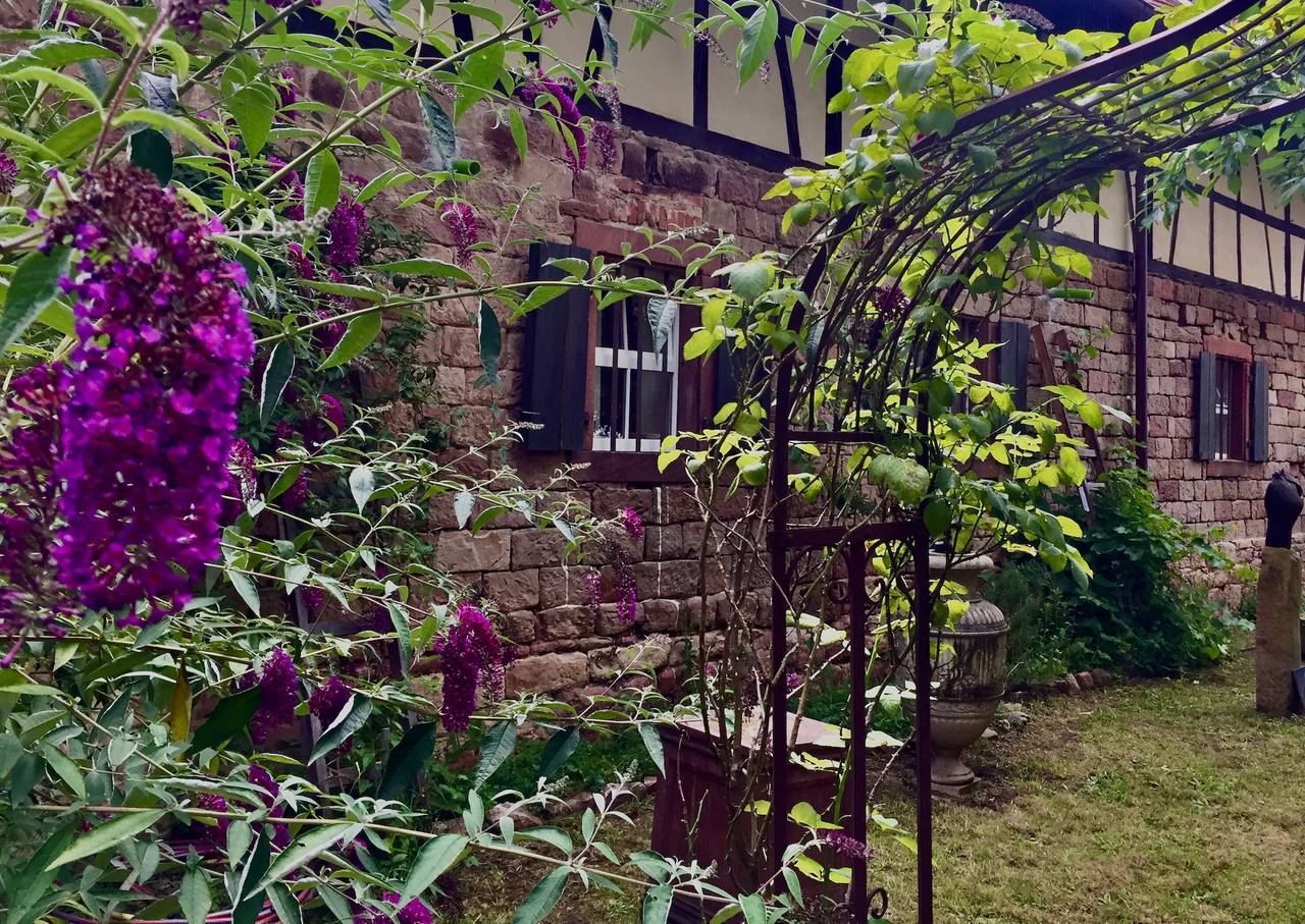 Ganze Wohnung, Ferienwohnung '5' mit privater Terrasse und gemeinsamem Garten in Ichenheim, Neuried