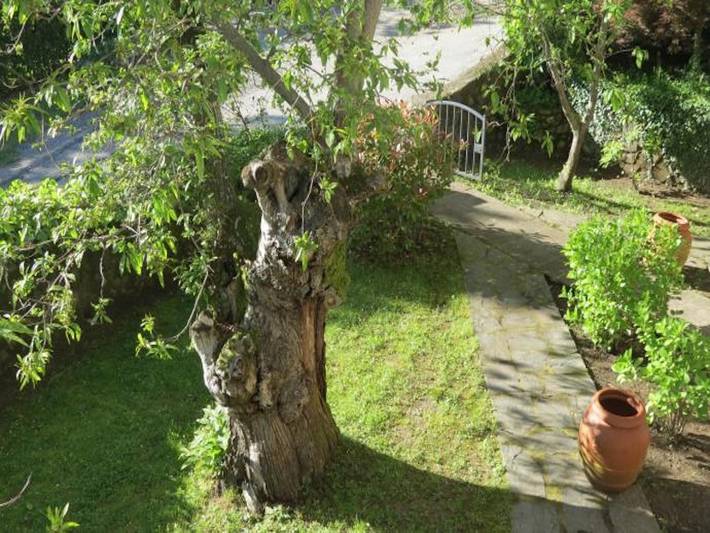 Location de vacances pour 6 personnes, avec piscine à Pistoia - 4