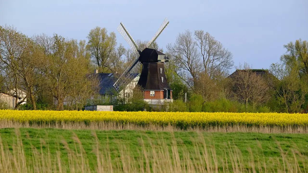 Ferienhaus für 8 Personen (190 m²) in Oldenswort in Oldenswort, Eiderstedt