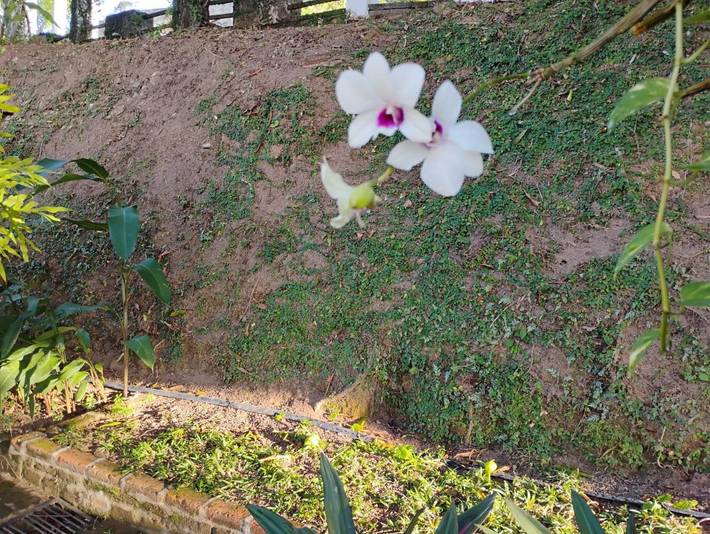 Location de vacances pour 4 personnes, avec jardin et vue, adapté aux familles à Olinda - 2