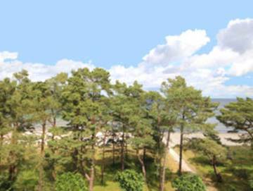 Ferienwohnung für 2 Personen in Binz