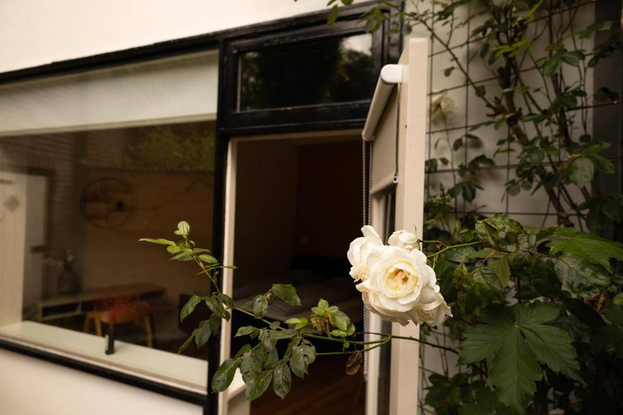 Appartement entier, The White Dove - 4 guests - Zwolle in Zwolle, Regio Zwolle