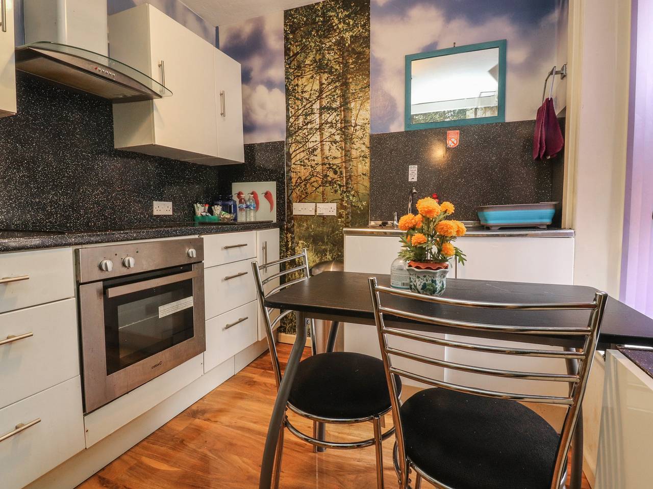 Entire apartment, Number 2 in Blackpool Pleasure Beach, North West England