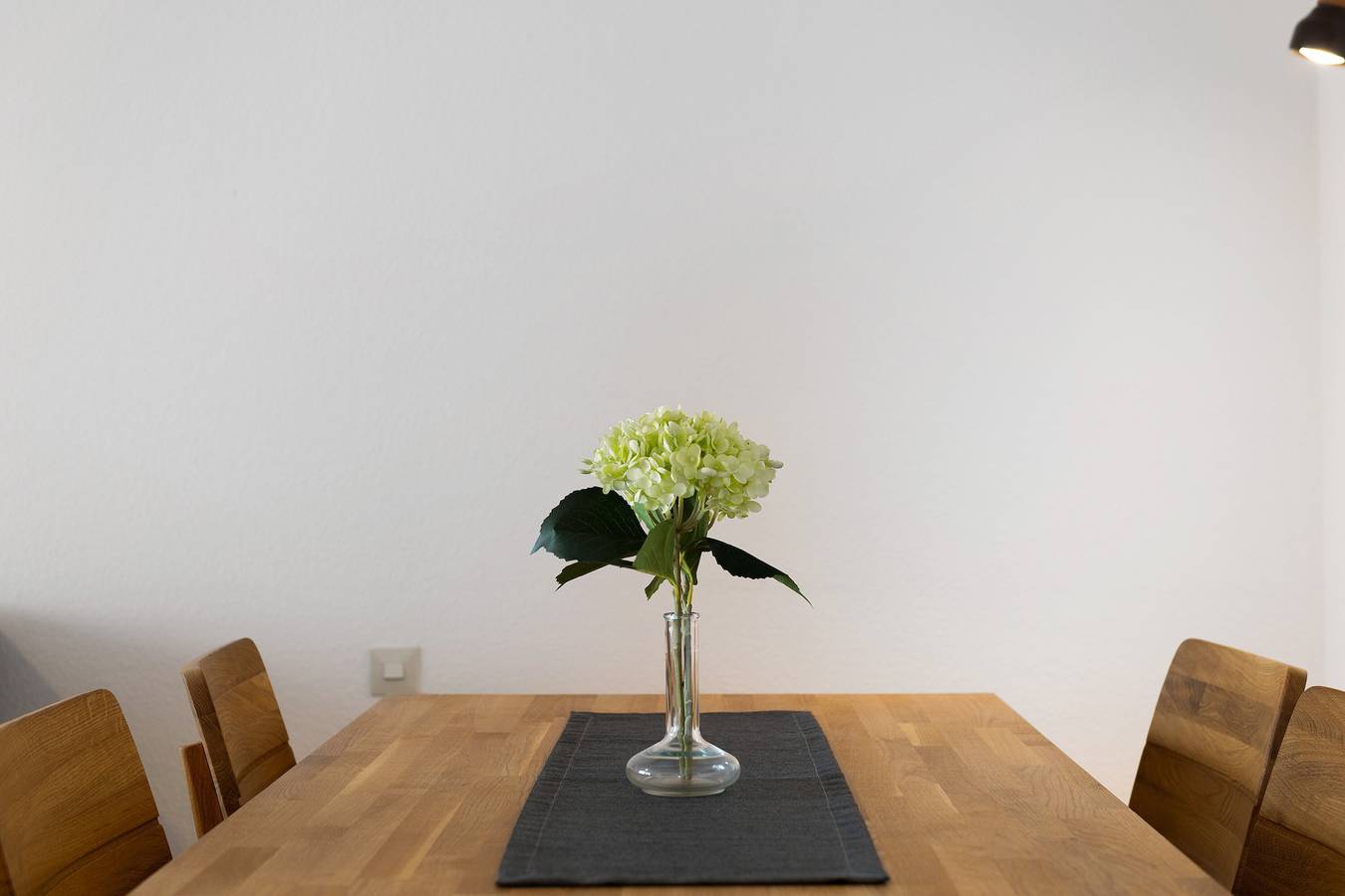 Appartement '1' met privétuin, balkon en Wi-Fi, foto 13