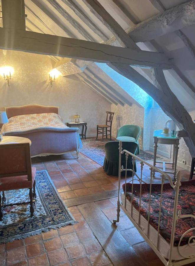 Location de vacances pour 3 personnes, avec vue ainsi que terrasse et jardin, animaux acceptés à Savennières - 2