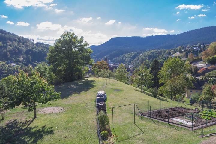 Ferienwohnung für 15 Personen, mit Terrasse und Garten sowie Sauna in Alpirsbach
