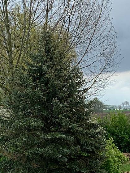 Ganze Ferienwohnung, 505 Heuboden in Brenkenhagen, Grömitz