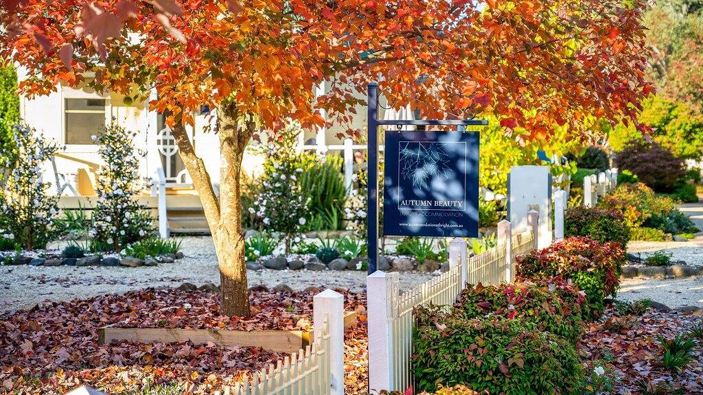 Herbstschönheit - Hütte 4 in Bright, Alpine Shire
