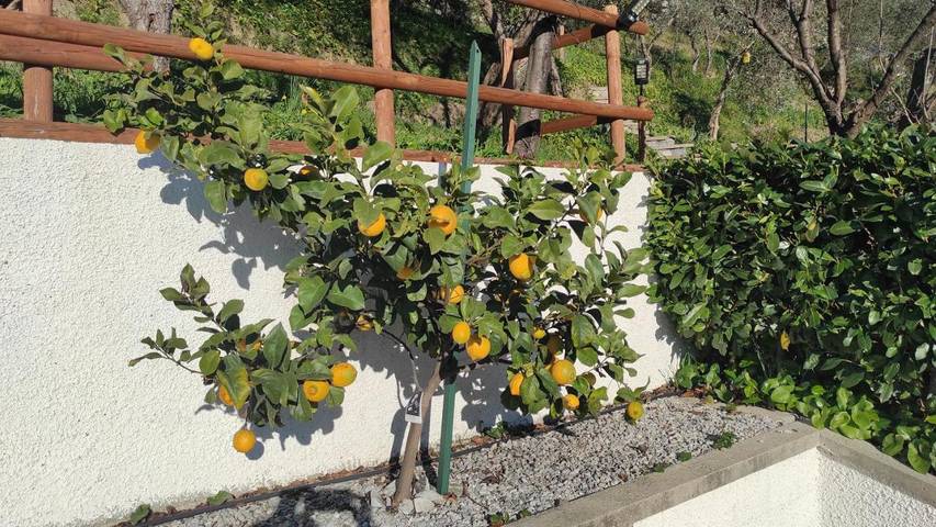 Location de vacances pour 3 personnes, avec jardin et jacuzzi à Leivi - 4