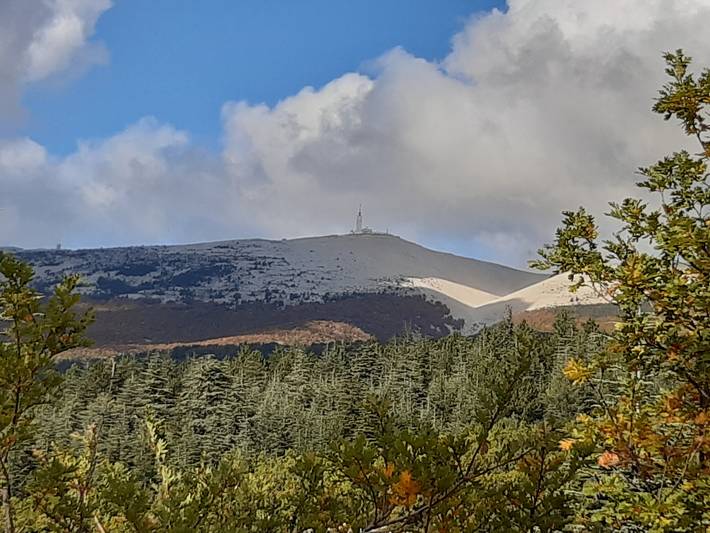 Gîte pour 4 personnes, avec jardin et vue, animaux acceptés à Bédoin - 2