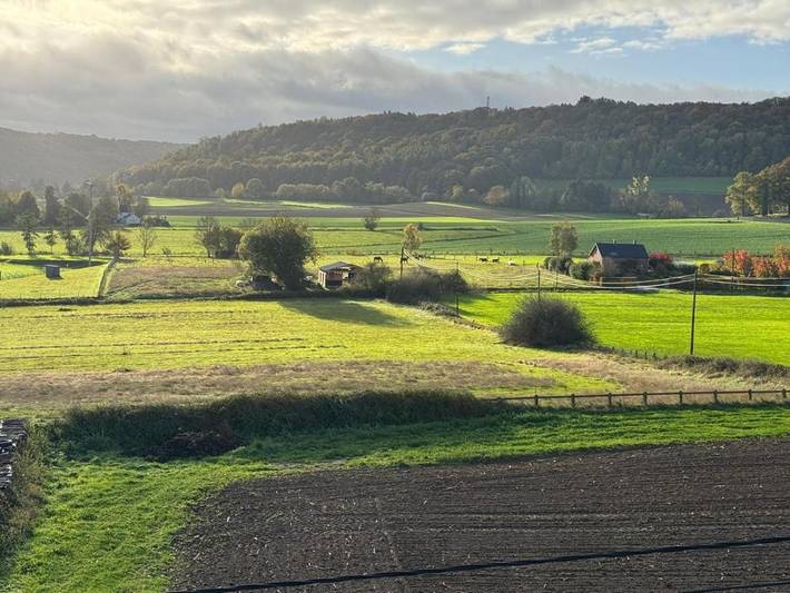 Location de vacances pour 2 personnes, avec vue et jardin, animaux acceptés à Anhée - 4