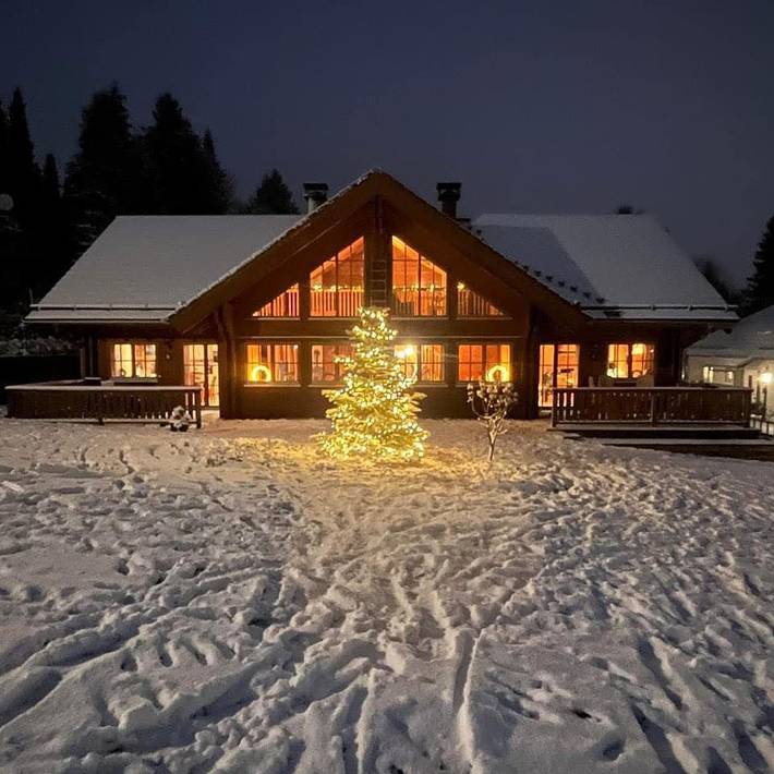 Chalet für 8 Personen, mit Terrasse und Sauna sowie Garten in Willingen - 3