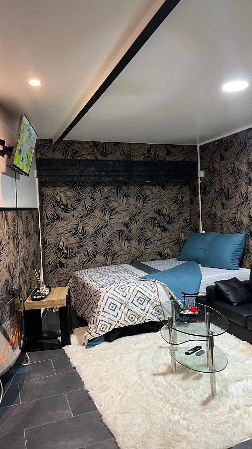 Appartement entier, One-Bedroom Apartment in Aulnay-sous-Bois, Seine-Saint-Denis