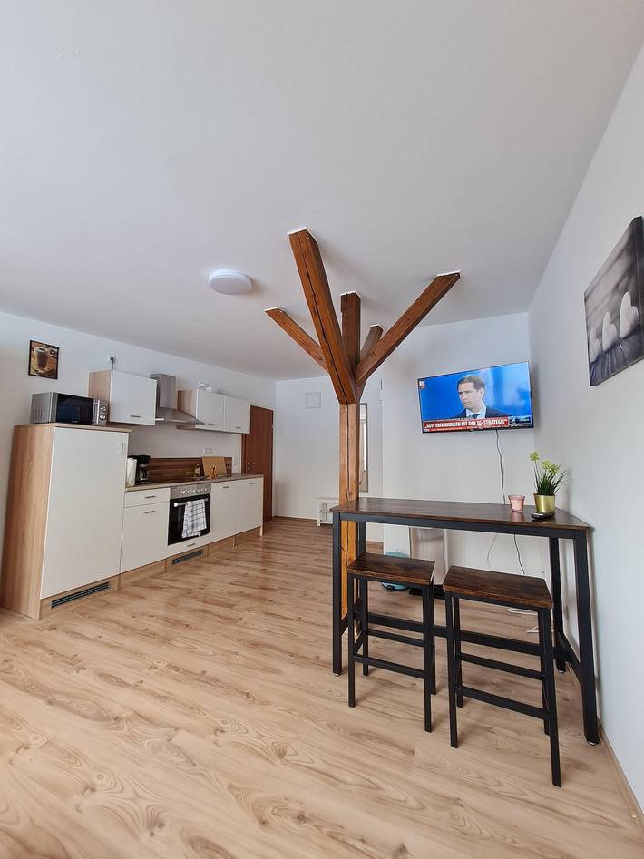 Ganze Ferienwohnung, Fewo 2 in Magdeburg/Fermersleben inkl. Wlan/Klima in Magdeburg, Elbe-Börde-Heide