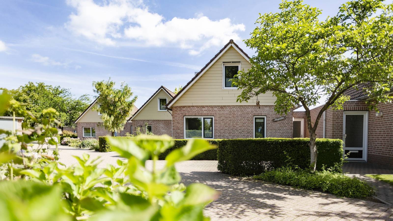Summio de Riethorst — Bungalow Zevendal 6 in Plasmolen, Nationalpark De Maasduinen