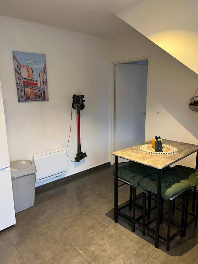 Villa pour 8 personnes, avec jardin à Lyon - 3