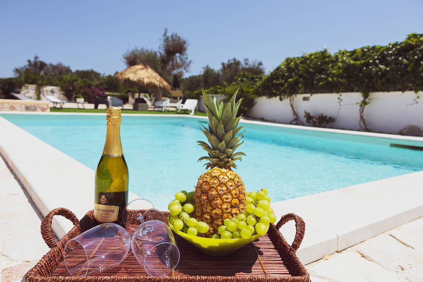 Borgo della mimosa in San Michele Salentino, Salento
