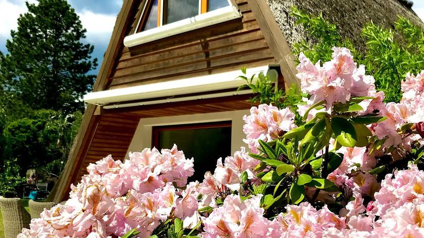 Ferienhaus für 4 Personen, mit Terrasse und Garten in Prignitz - 4