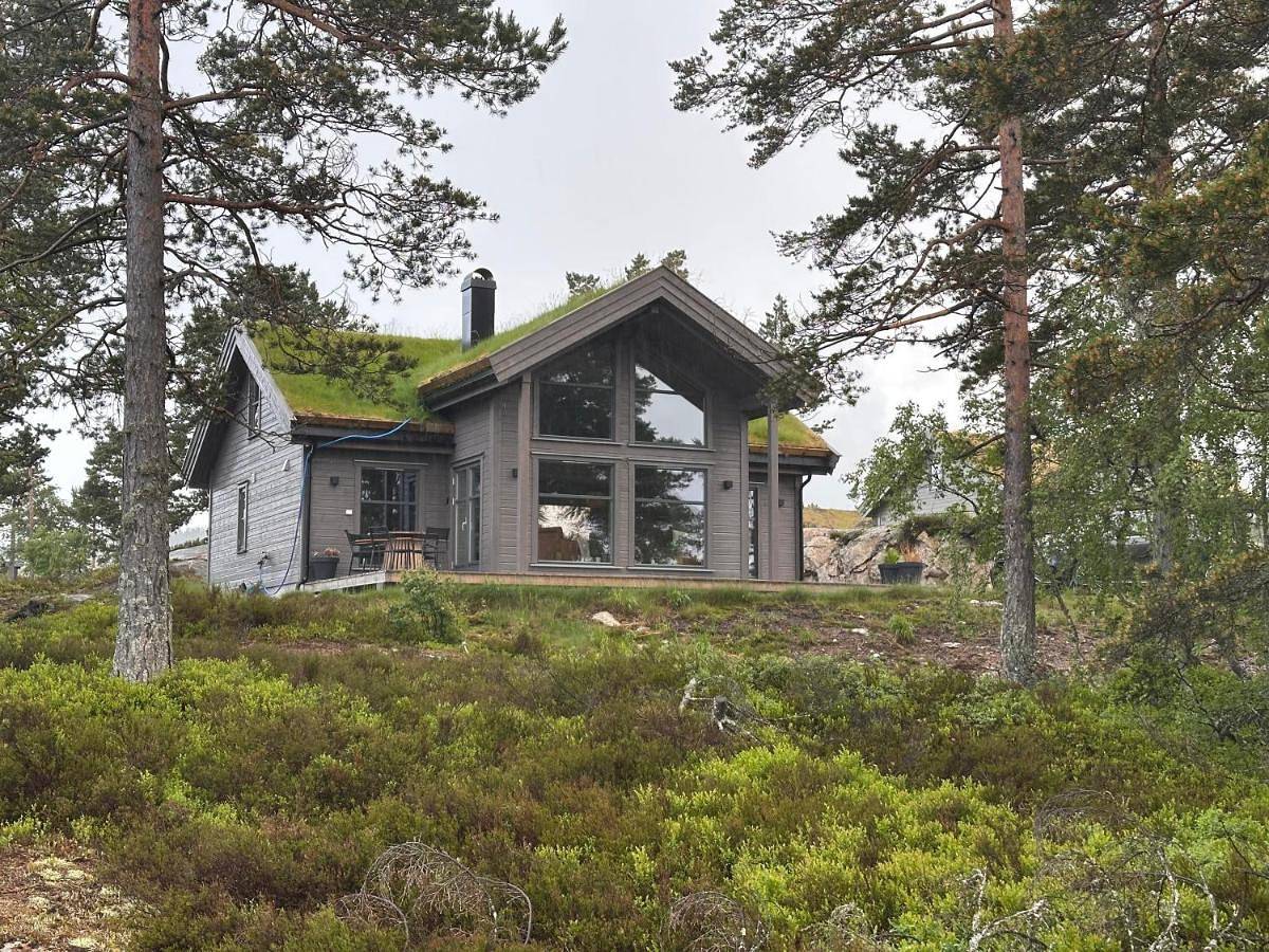 Moderne fjellhytte Gautefall, Norge in Gautefall, Drangedal