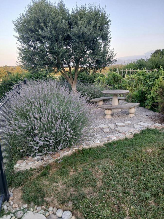 Location de vacances pour 9 personnes, avec piscine ainsi que vue et jardin, adapté aux familles à Puylaurens - 2