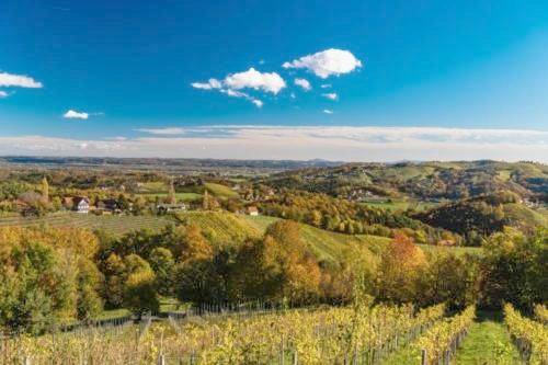 Holiday Home in Kitzeck im Sausal, Steirerland