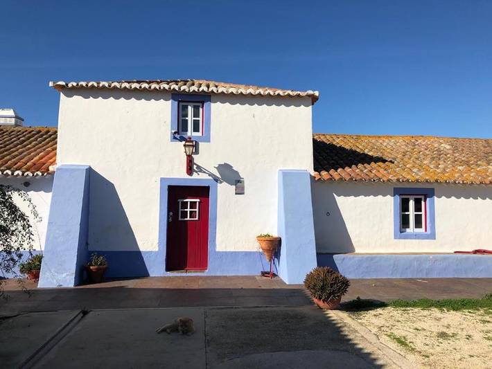 Maison de campagne pour 12 personnes, avec piscine et bassin pour enfant ainsi que vue et jardin à Zambujeira do Mar - 4