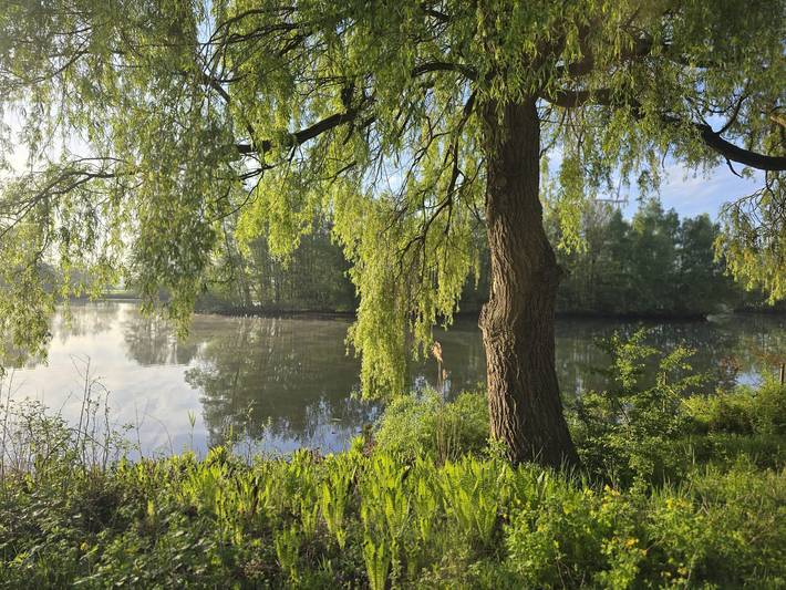 Ferienhaus für 4 Personen, mit Balkon und Garten im Münsterland - 4
