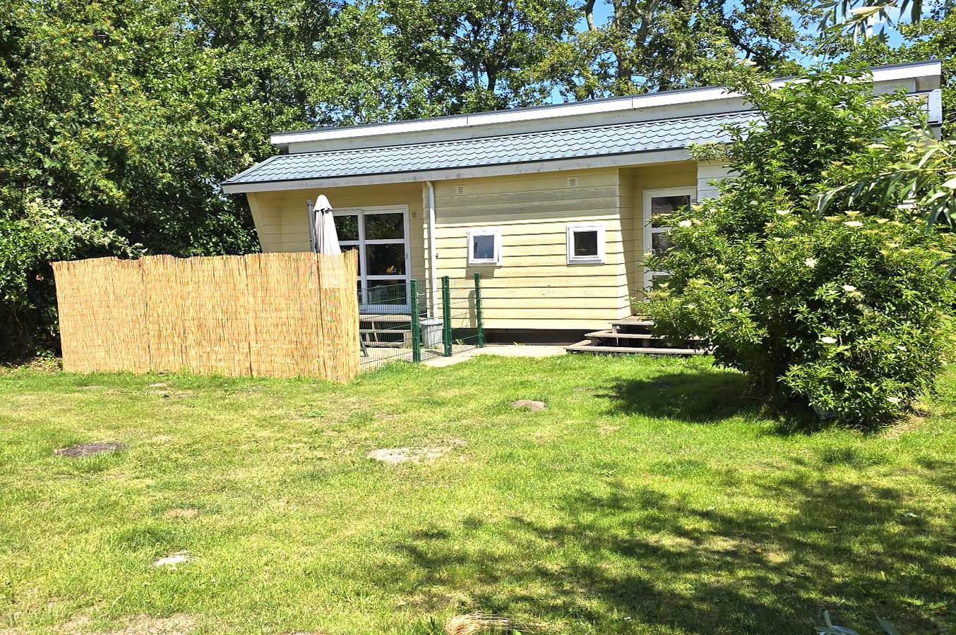 Vrijheid aan de kust — Chalet Zeekraal in Groote Keeten in Groote Keeten, Noord-Holland - Nordseeküste