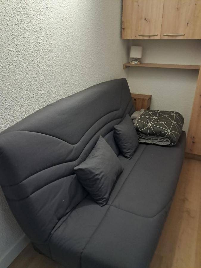 Gîte pour 3 personnes, avec vue sur le lac ainsi que balcon et vue dans Lac des Rousses - 3