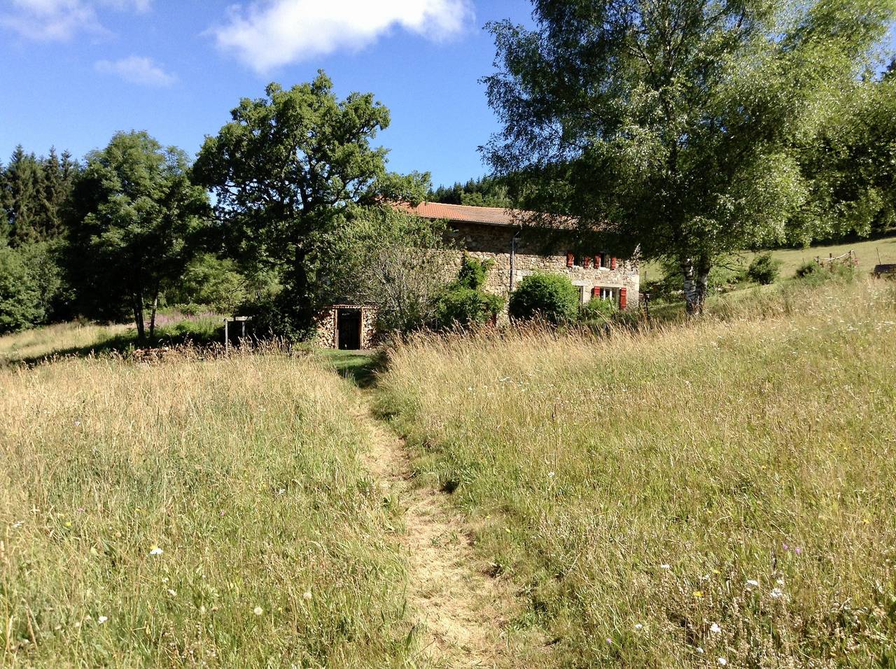 La Grande Marguerite in Fournols, Parc Naturel Régional Livradois-Forez