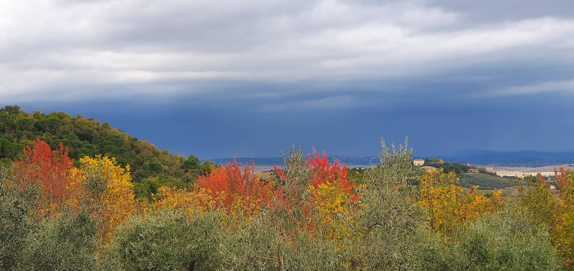 Ganze Wohnung, Ferienwohnung 'Giardino Su Siena' mit Bergblick, Gemeinschaftsgarten und Wi-Fi in Monteroni d'Arbia, Siena Provinz