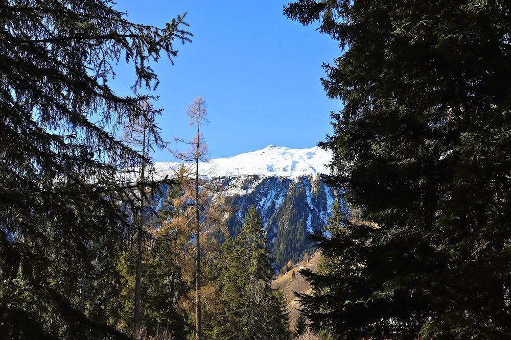 Forest Chalet with Private Bridge & Mountain View in Naters, Brig
