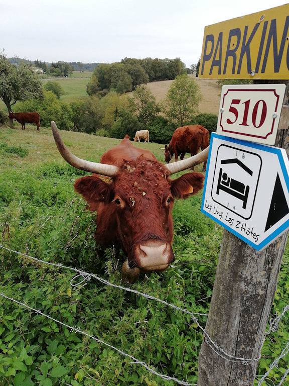 Chambre d’hôte pour 2 personnes, avec jardin dans Montbrison - 2