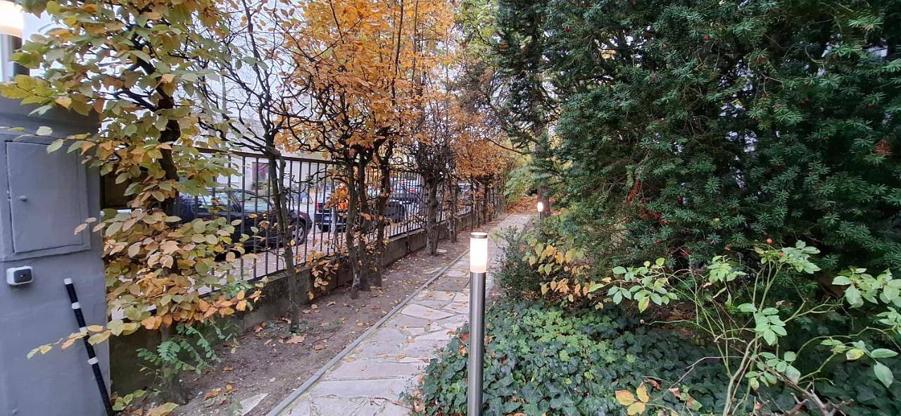 King David Garden in Berlin Innenstadt, Berlin