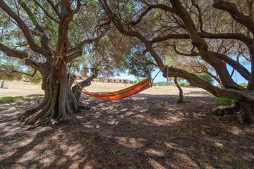 Vakantieappartement voor 3 Personen in Aglientu, Gallura, Afbeelding 2