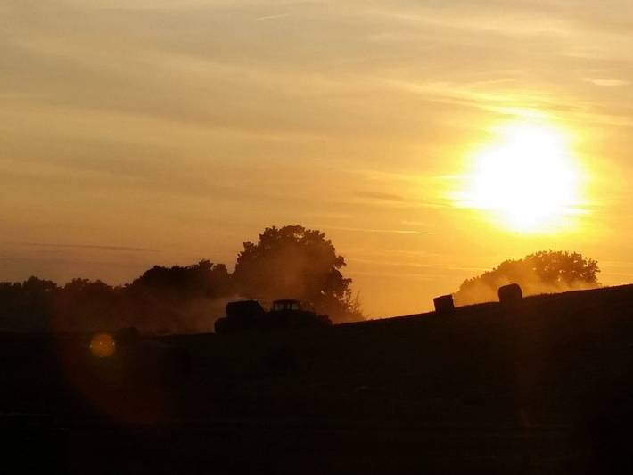 Bauernhof für 5 Personen, mit Garten, mit Haustier in Malente - 4