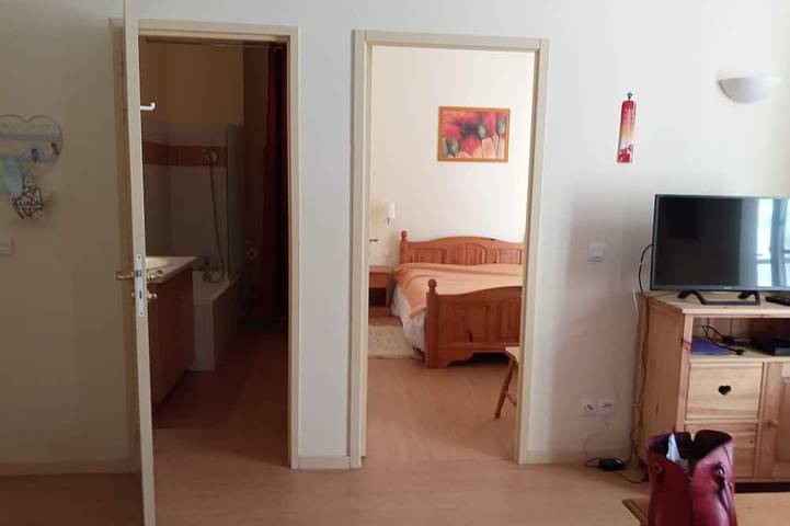 Gîte pour 6 personnes, avec jardin ainsi que sauna et balcon à Aulus-les-Bains - 4