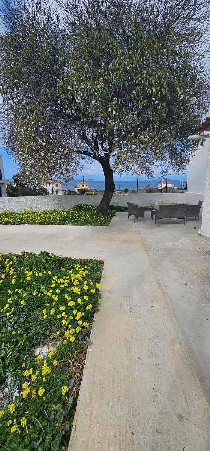 Location de vacances pour 4 personnes, avec vue et jardin, animaux acceptés dans Agistri