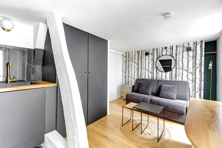 Entire apartment, Studio lumineux au coeur de Paris in Paris, Ile de France