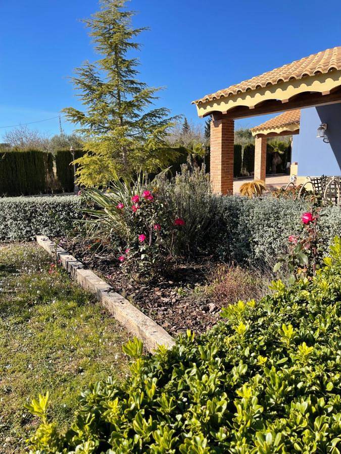 Gîte pour 5 personnes, avec balcon et piscine ainsi que jacuzzi et sauna dans Caudete - 2