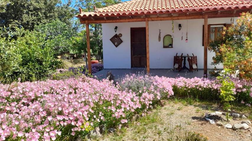 Location de vacances pour 5 personnes, avec terrasse et vue dans Σκάλα Ερεσού - 4